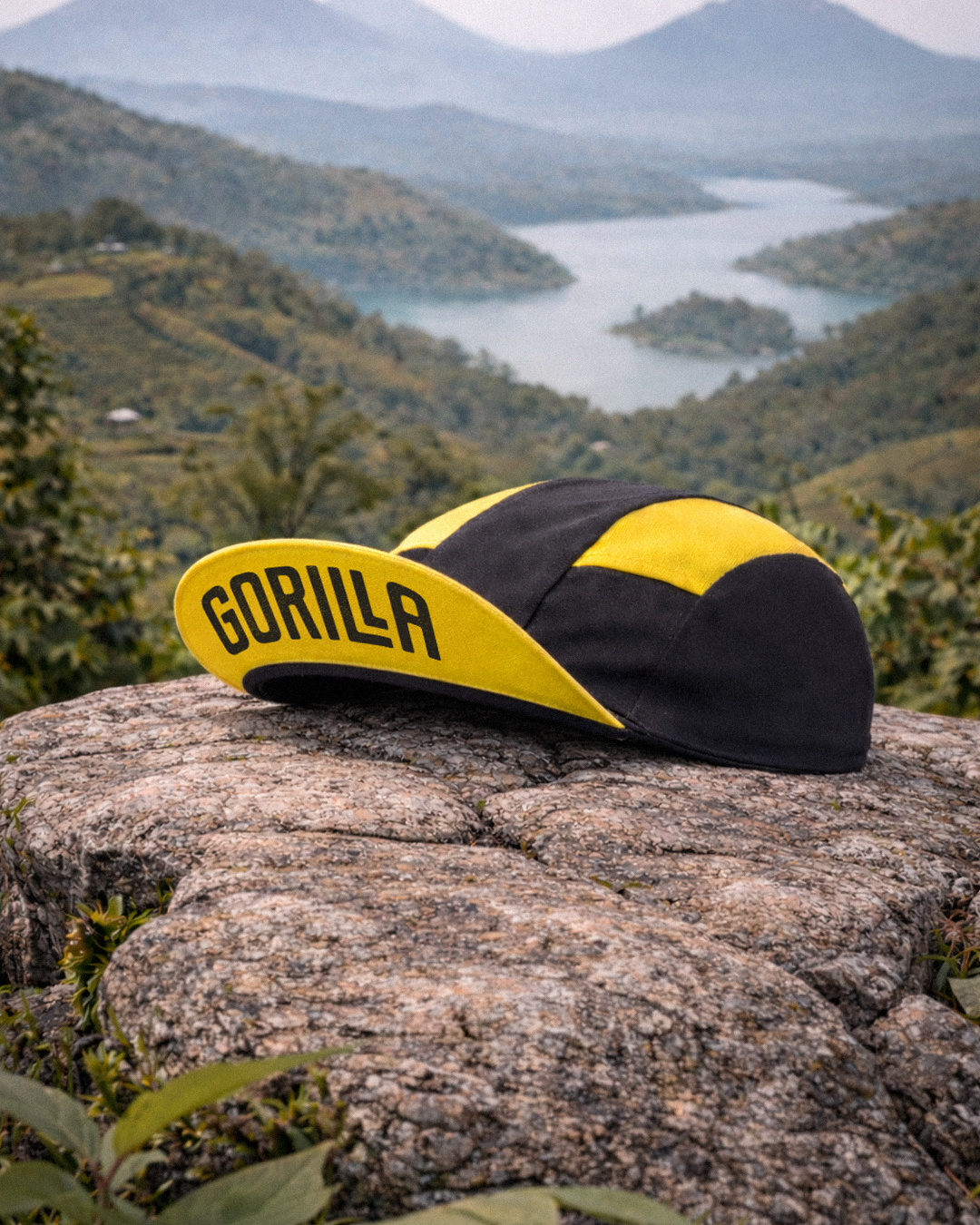 gorilla_gorra