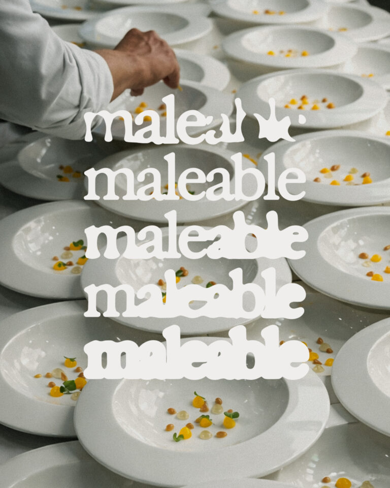 maleable_portada_web