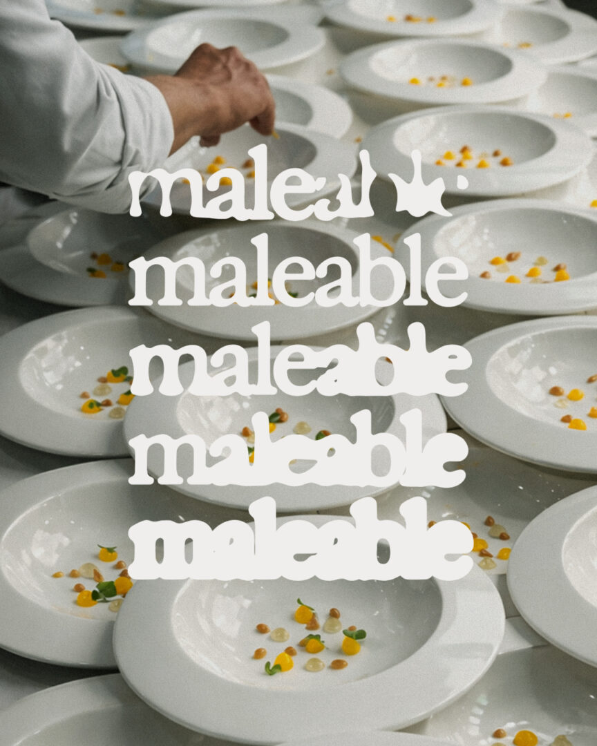 maleable_portada_web